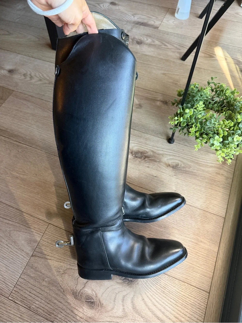 Cavallo sprenger smartclix